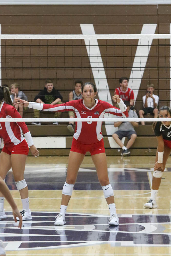 Gallery: Girls volleyball - Crown Point at Michigan City